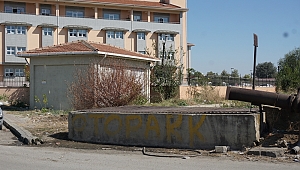 DSİ’NİN SU KANALLARI SU YERİNE ÖLÜ BALIKLA DOLU