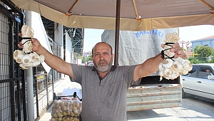 LİMON VE SARIMSAK ATEŞ PAHASI