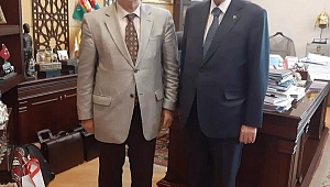 BOZKURT GELDİ Mİ ÇAKAL SİNER, SIRTLAN KAÇAR 
