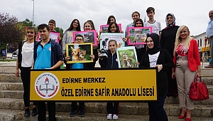 HAYVANLARA KARŞI ACIMASIZ OLMAYIN 