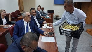 MECLİS ÜYELERİNE JEST 