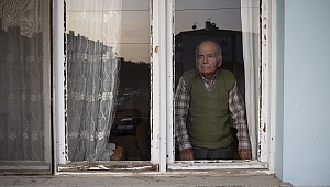 ASIRLIK ÇINAR 