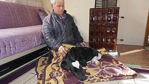 AYNI ODA DA YAŞAR’LA YAŞIYORLAR 
