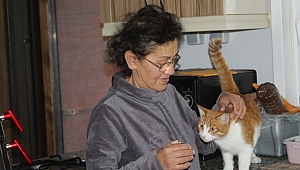 EMEKLİ MAAŞINI SOKAK HAYVANLARINA HARCIYOR 