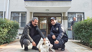 ÜZÜLMESİNE DAYANAMADILAR!