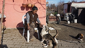 “CANLARA CAN OLUN” ÇAĞRISI 