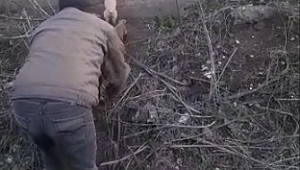 HAVLAYAN KÖPEĞİN PEŞİNDEN GİDEN SÜRÜCÜLER GÖZLERİNE İNANAMADI 