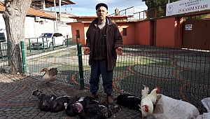 HİNDİ VAR ALAN YOK 