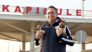 KUTULARDA 14 KÖPEK YAVRUSU BULUNDU 