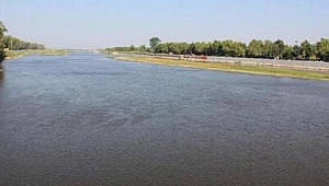 MERİÇ NEHRİ KENARINDA ERKEK CESET BULUNDU