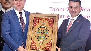 HEDEF 60 BİN TON 