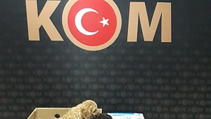 KÖPEKLER VE PAPAĞANLAR YEDİEMİNE TESLİM EDİLDİ 
