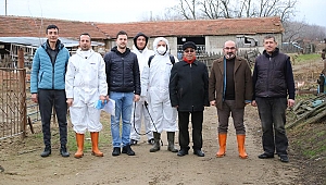 SİVRİSİNEKLERLE KIŞLIK MÜCADELE 