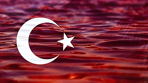  9 ŞEHİDİMİZ VAR !