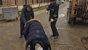 KALEM TUTAN ELE, KÜREK TUTTURDULAR 