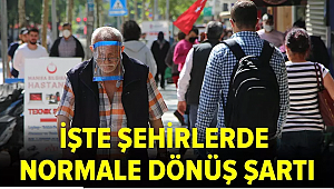 5 gün boyunca vaka görülmeyen illerde normalleşme başlayacak 