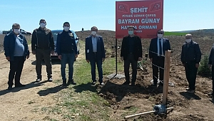 Şehit Uzman Çavuş Günay'ın adına hatıra ormanı oluşturuldu 