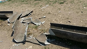 Sokak hayvanlarının besleme odakları tahrip edildi 