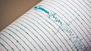 Van’da deprem! Van güne depremle başladı… 