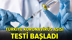 Türkiye'de hayvanlar üzerinde koronavirüs aşısı denemelerine başlandı 