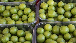 Yeşil eriğin faydaları neler? Yeşil erik tüketmeniz için 11 neden