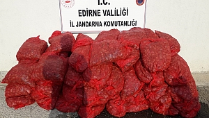 1 TON KAÇAK MİDYE ELE GEÇİRİLDİ