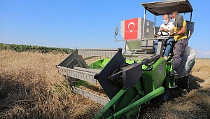 ATA MİRASI TOHUMLAR HASAT EDİLDİ 