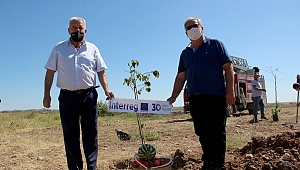 500 FİDAN TOPRAKLA BULUŞTU