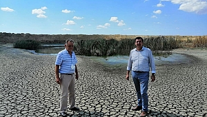 HAVSA’DA TOPRAKLARIMIZ KATLEDİLİYOR