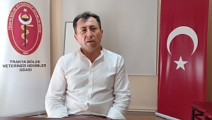 MERA CENNETİ EDİRNE’DE MERALARA YAZIK OLUYOR 