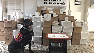 ‘ÇİKO’ GEÇİT VERMEDİ 