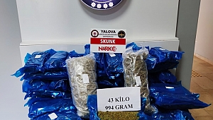 KAPIKULE’DE UYUŞTURUCU OPERASYONU 