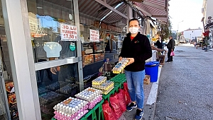 YARIM TAVUK, TEK YUMURTA 