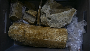 EDİRNE'DE HEYECANLANDIRAN BULUŞ
