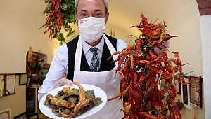 TAVA CİĞERİN 