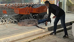 CİNAYET TÜFEĞİNİ RUHSATSIZ SATAN KİŞİYE SORUŞTURMA 