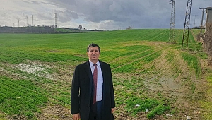 KURAKLIK BUĞDAYI VURDU