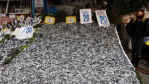 TEZGAHLAR ŞENLENDİ