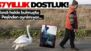 BÖYLE DOSTLUK GÖRÜLMEDİ