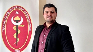 VETERİNER HEKİMLER GÖZ ARDI EDİLDİ 