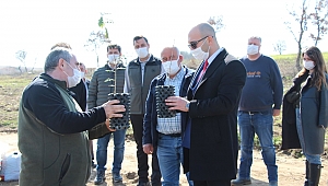 AROMATİK BİTKİ ORMANI OLUŞTURULDU