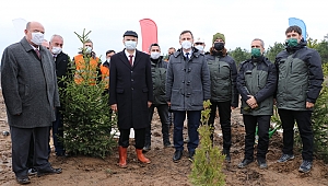 FİDANLAR TOPRAKLA BULUŞTU
