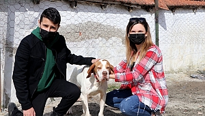 İNSANLIK ‘DORUK’TA