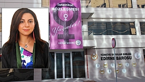 MİRZABEY’DEN İSTANBUL SÖZLEŞMESİ VURGUSU