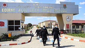 ARTAN YEMEKLER SOKAK CANLARINA