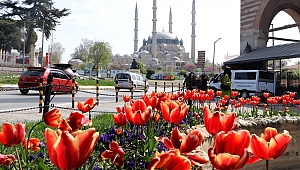 GÜZELLİĞİ GÜZELLİK KATIYORLAR