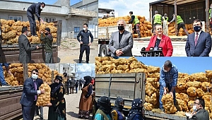 İTİRAF GİBİ FOTOĞRAF