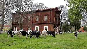 KAMPÜSTE BİYOÇEŞİTLİLİK BAHARI