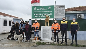 LİSELİLERDEN KEDİLERE RENGARENK BİR DÜNYA
