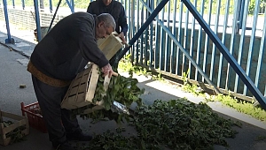 PAZARCI KISITLAMA MAĞDURU OLDU